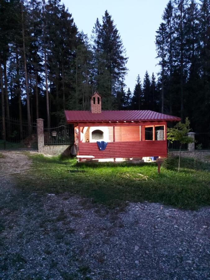 Casa De Vacanta Hidegpatak Kültér fotó