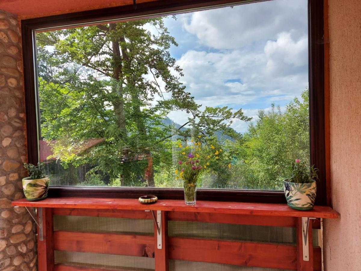 Casa De Vacanta Hidegpatak Kültér fotó