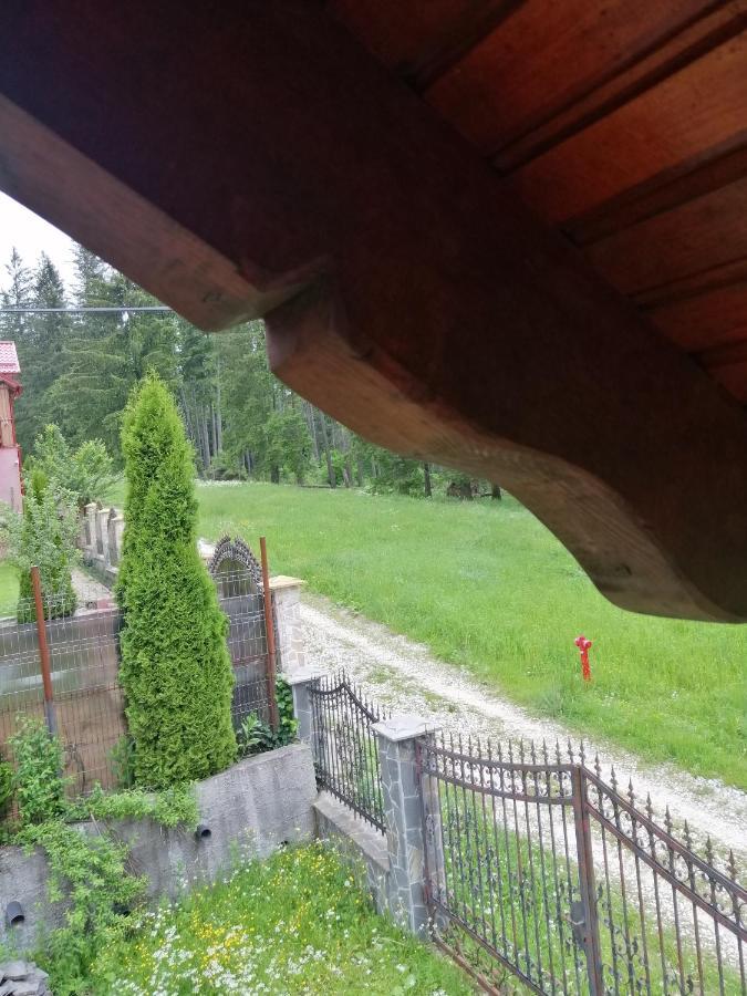 Casa De Vacanta Hidegpatak Kültér fotó