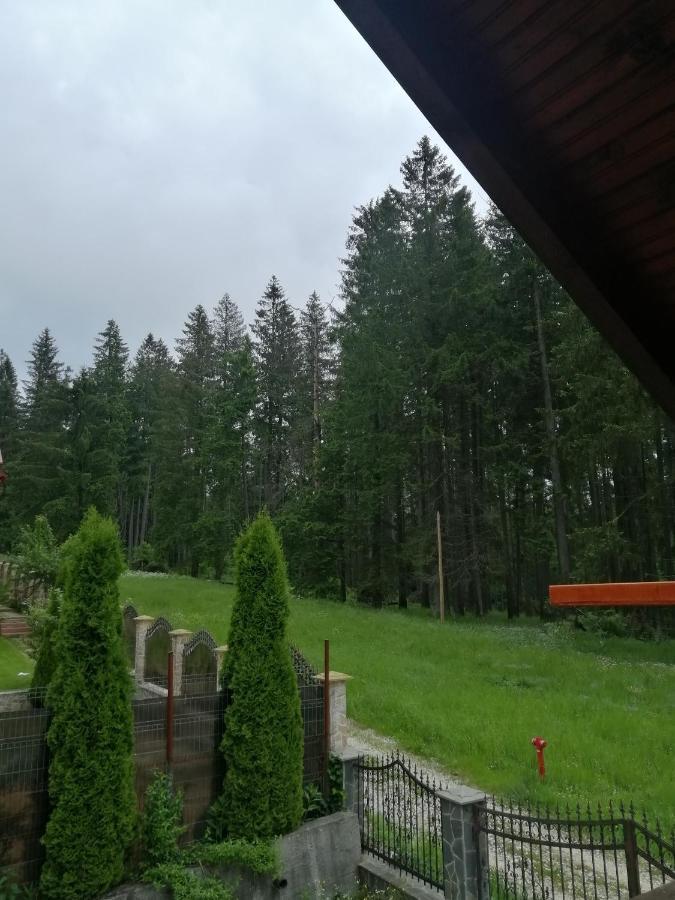 Casa De Vacanta Hidegpatak Kültér fotó