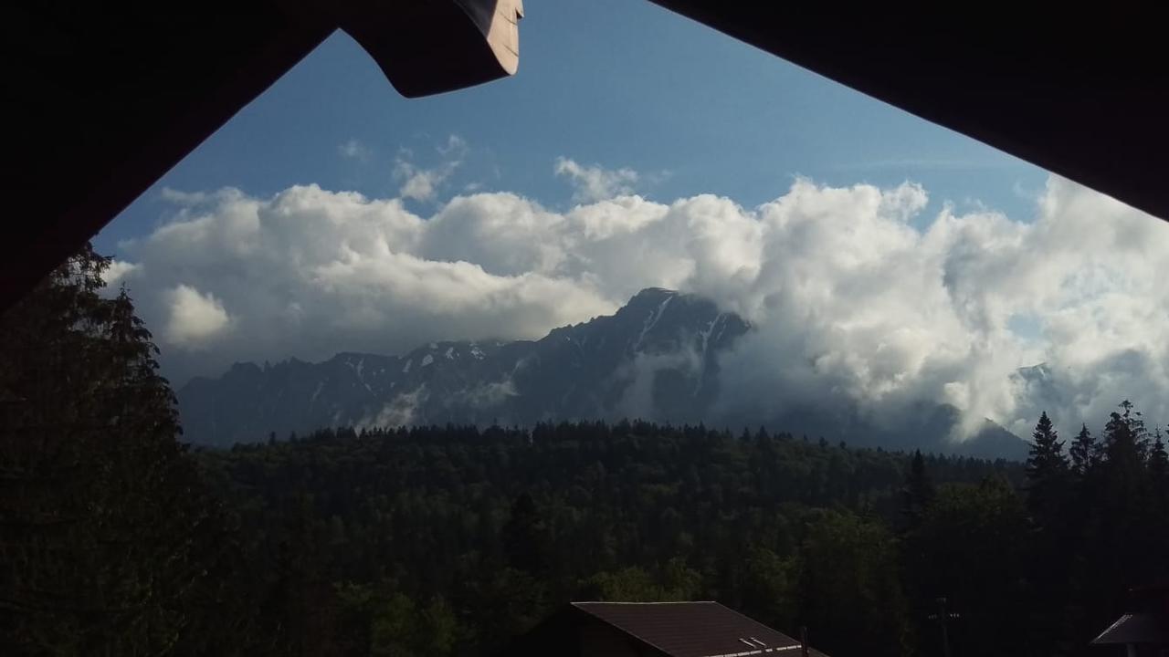 Casa De Vacanta Hidegpatak Kültér fotó